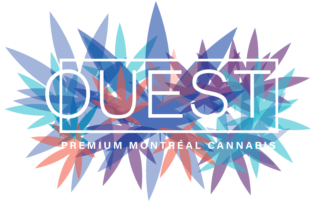 Ouest Logo